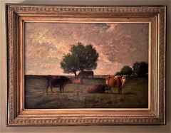 "Grazing Cows" by artist Joseph Foxcroft Cole